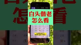 白头到老怎么看#命理八字 #国学智慧 #易经文化