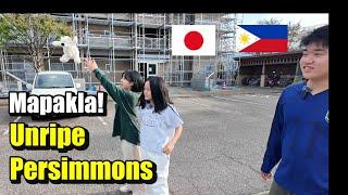 Free Persimmons | Mapakla | Filipino Single Father in Japan