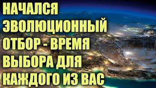 НАСТУПИЛА "ВЕЛИКАЯ ЖАТВА ЛЮДЕЙ" - ЭВОЛЮЦИОННЫЙ ОТБОР ЗАПЛАНИРОВАННЫЙ ВСЕЛЕННОЙ!