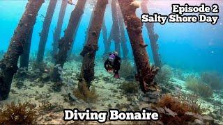 Getting Salty | Salt Pier, Invisibles, 1000 Steps | Diving Bonaire '24 Ep 2