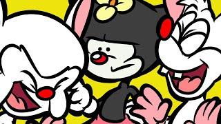 Animaniacs: Patience - TAZ Amnesty (Animation)