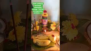 #ommuruga#vetrivelmuruganukkuarogara#vetrivelmuruganukuarogara#ommurugasaranam#omsaravanabhava#