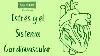 El ESTRÉS y el SISTEMA CARDIOVASCULAR | ¿Cómo el ESTRÉS afecta el sistema CARDIOVASCULAR?