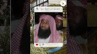 محاضرات دينية مؤثرة,محاضرات دينية مؤثرة وقصص,محاضرات دينية مؤثرة ومبكية,محاضرات وقصص دينية مؤثره