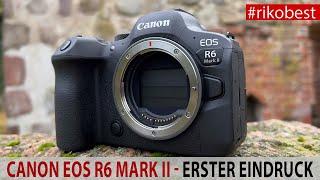 Canon EOS R6 MARK II - Die neue & schnellste Canon aus der R Serie im Test. Erster Hands-On Bericht