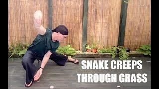 Tai Chi: Snake Creeps Through Grass to Golden Rooster