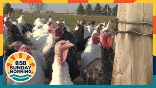 CBS 58 Sunday Morning: Turkey time