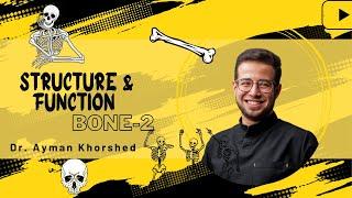 Structure & Function | Bone Part-2 | Anatomy