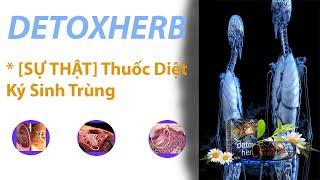 Detoxherb Diệt Ký Sinh Trùng Lừa Đảo? Mua Ở Đâu? Gía Bao Nhiêu?