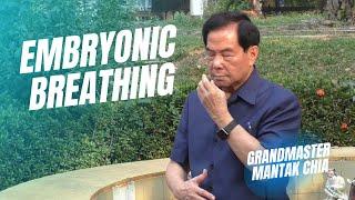 Embryonic breathing technique. Qigong and breathwork practice with Taoist Master Mantak Chia ️