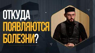 Откуда появляются болезни? / Даниял Умаилов