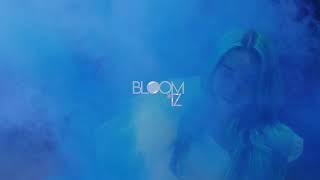 intro | bloomiz``