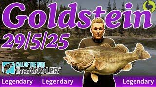 Goldstein the Legendary Fish this Week 29/5/25 | Call of the Wild: The Angler