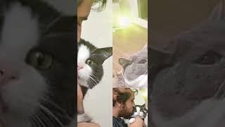 Увлекательные факты о нашем мире.  #природа #хочуфакты #факты