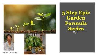 5 Step Epic Gardening Formula  Ep  1