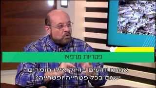 פרופ' קרסו עם נחשול כהן: פטריות מרפא והשימושים שלהן ברפואה המשלימה