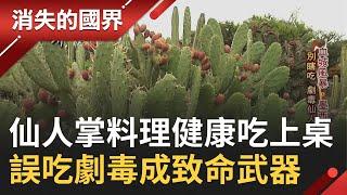 墨西哥特有的仙人掌料理! 纖維多脂肪少當地民眾健康吃上桌 但"致命武器"別亂拿 劇毒仙人掌吃下恐致命 │記者 劉伯奇│【消失的國界】20210130│三立新聞台