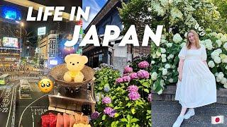 life in japan | summer hydrangea festival , bear onsen in shibuya, job update 