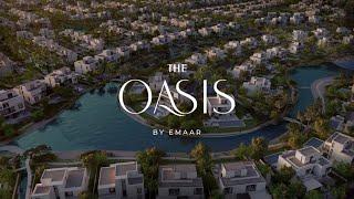 The Oasis