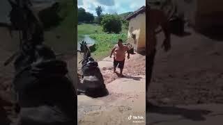 Ковбой Джо
