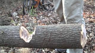 Husqvarna Hatchet - 6 inch trunk (HD)