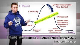 Цикл контакта. Гештальт-подход. Кирилл Шарков.