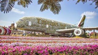 Dubai Miracle Garden 2022