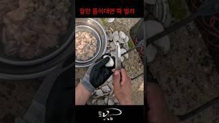 큰 조개는 힘들고 작은 것은 쉽고 The Larger the Clam, the Greater the Power to Close Its Shell.