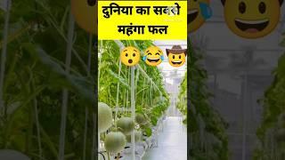 The world's most expensive fruit  #shorts #youtubeshorts #shortvideo #short #ytshorts #facts