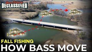 Stay Ahead of Fall Bass With This Simple Approach!