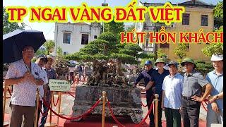 TP NGAI VÀNG ĐẤT VIỆT của NAM LÊ hút hồn khách tại TL An Dương HP