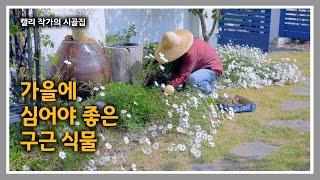 청운재 [240] 대추 따고 구근 심고 / 가을에 해야 할 일 / 날마다 꽃 소풍