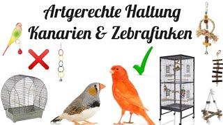 Artgerechte Haltung von Kanarien und Zebrafinken