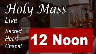 Live Mass: 12 Noon - Sat - Nov 16