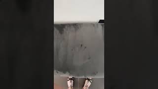 진짜 이게 된다고? #Shorts