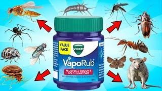 VICKS VAPORUB Hack For Pest Removal - MOSQUITO, ANTS, FLIES, SPIDERS, RODENTS, COCKROACHES, GNATS..