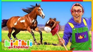 Aprendamos sobre Caballos | Videos Educativos para Niños | Kidibli