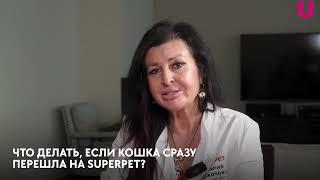 Рекомендации ветеринара о переходе на натуральное питание для кошек SUPERPET