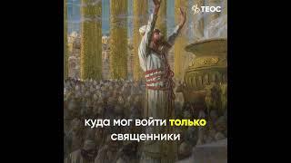 Между смертью и жизнью | Евангелие от Матфея