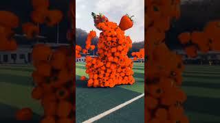 Fruit pair collision special effects c4d animation decompression #shorts