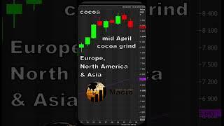 Cocoa Market Hits $10 000/ton: What's Next?