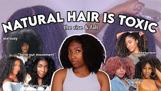 The RISE and FALL of the Natural Hair Community | Camryn Elyse