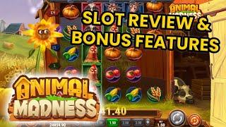 Animal Madness Slot Review, Bonus Features & More!