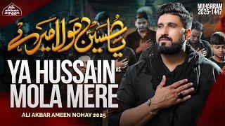 Nohay 2025 | Ya Hussain Mola Mere | Ali Akbar Ameen Noha 2025 | Muharram Nohay 2025/1447