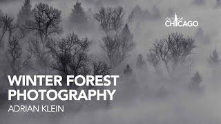 Winter Forest Photography with Adrian Klein