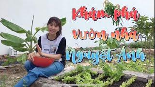 Khám phá vườn nhà Nguyệt Ánh