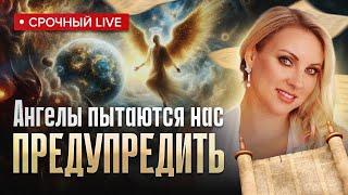 Высшие силы хотят предупредить человечество! Ангелы передали послание! Анастасия Крейсон