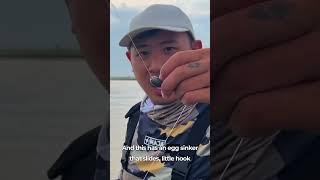 BEST method for LIVE BAIT fishing