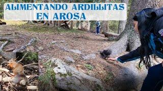 Mara y Las Ardillas de Arosa