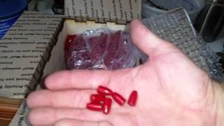 Acme moly coated bullets